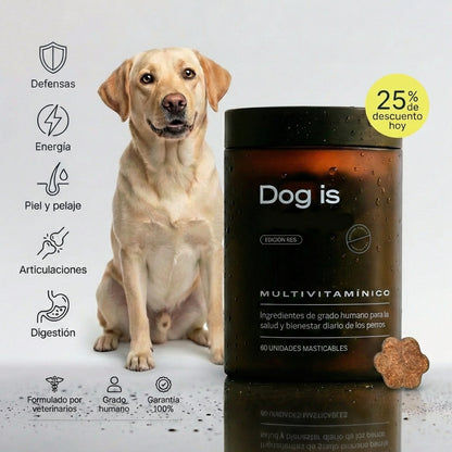 Longevidad DM-01™ Multivitamínico 5-en-1 Para perros que necesitan más años de vida saludable | Mejoras visibles en 3 semanas