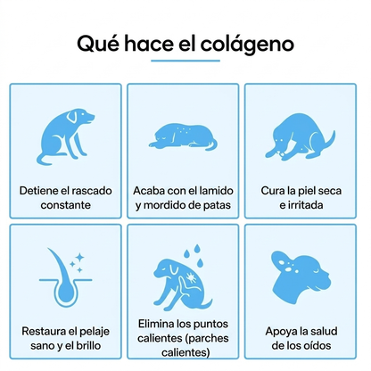 Colágeno líquido Healthy Petz Premium ⏤ Piel sana sin comezón en 30 Días