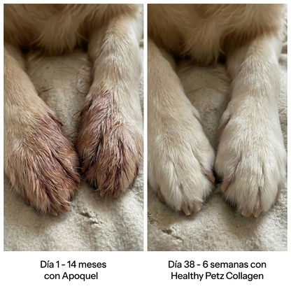 Colágeno líquido Healthy Petz Premium ⏤ Piel sana sin comezón en 30 Días