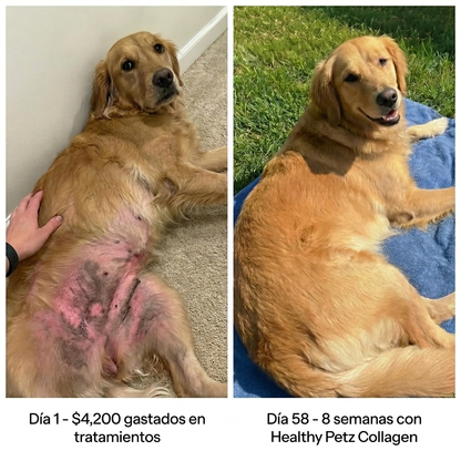 Colágeno líquido Healthy Petz Premium ⏤ Piel sana sin comezón en 30 Días