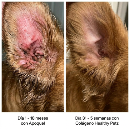 Colágeno líquido Healthy Petz Premium ⏤ Piel sana sin comezón en 30 Días